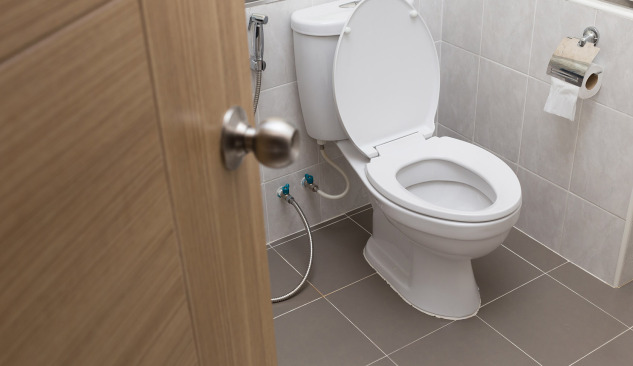 Πώς να κάνετε τη σωστή επιλογή - συμπαγές WC;