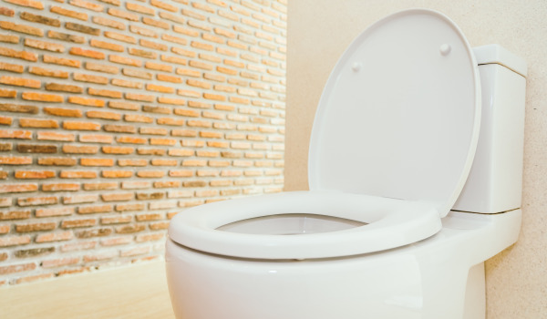 Τι είναι το εντοιχισμένο πλαίσιο WC;